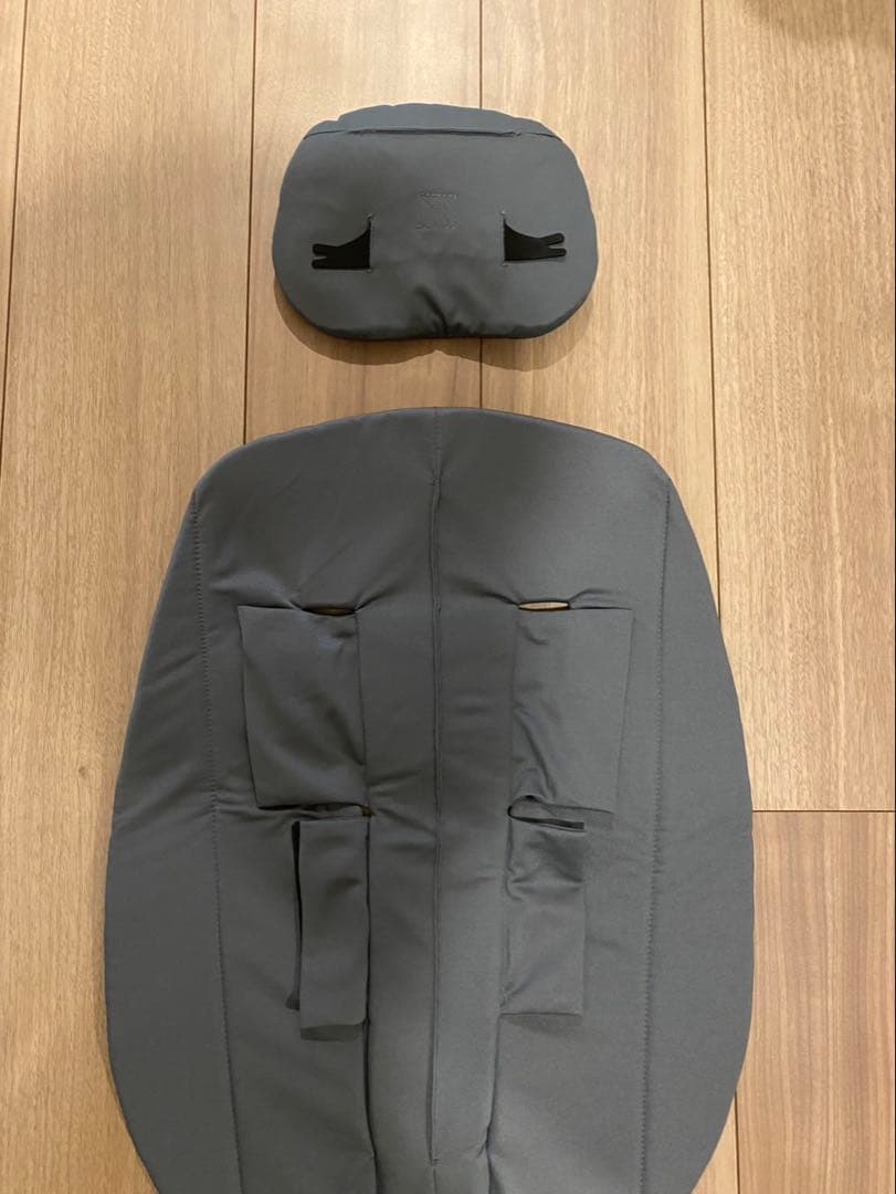 サイベックス　メリオカーボン　2022