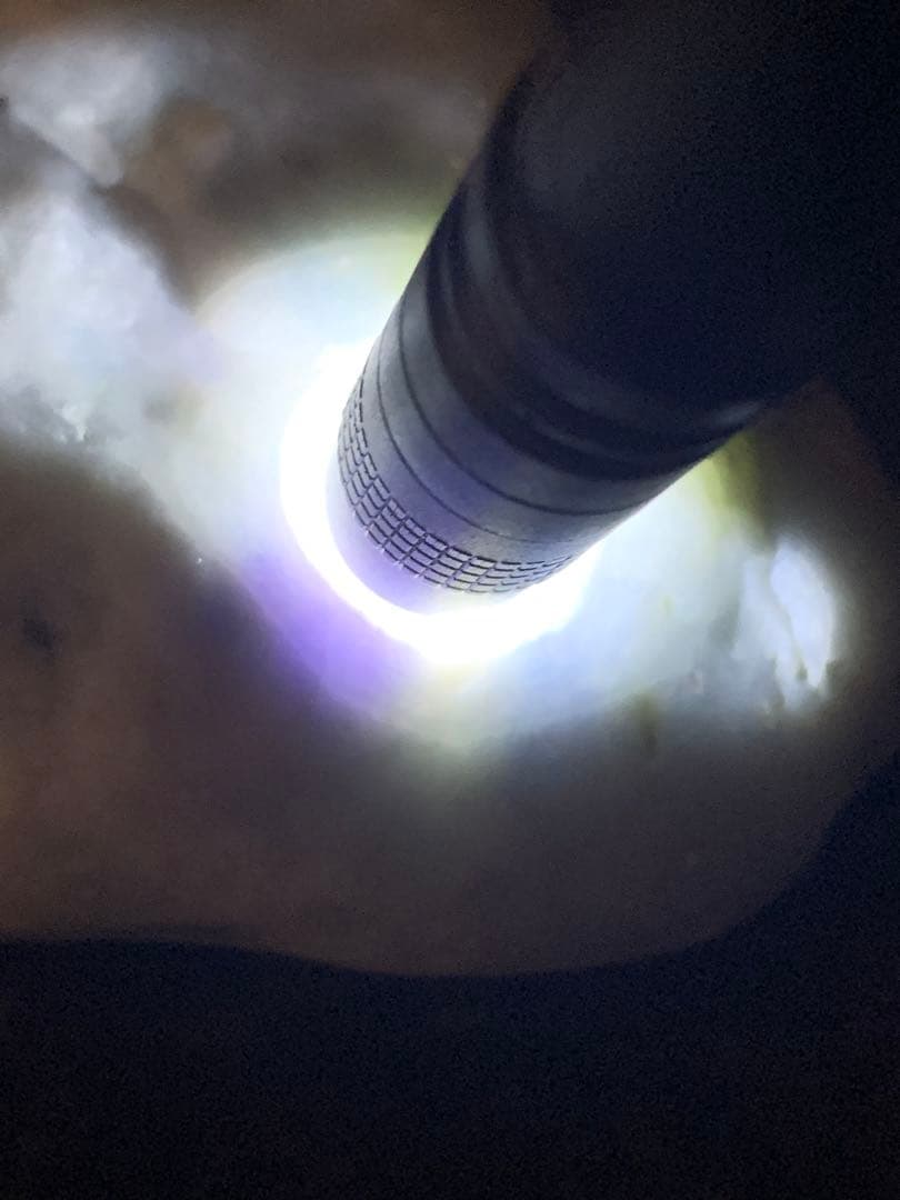 海翡翠　海石　糸魚川ラベンダー翡翠　原石　青紫ひすい　水石　根付　国産鉱物標本