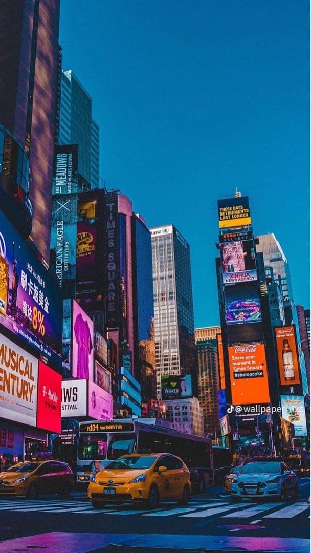 衣装ケース・衣類収納ケース Pic