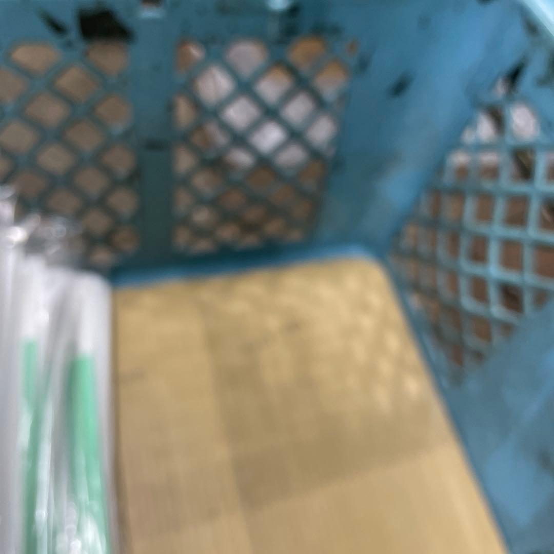 中型 青色 プラスチック 虫かご