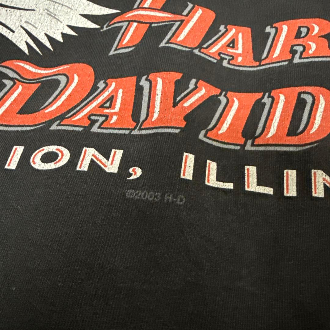 Harley-Davidson スパイダー ロンT