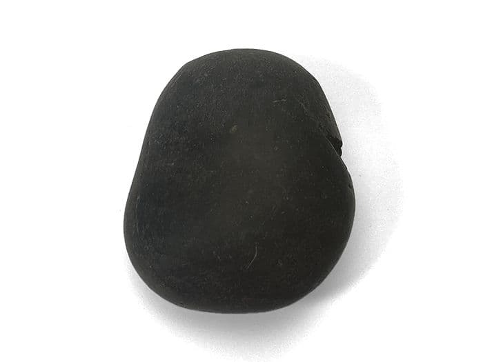 【超希少な太古の石】レアストーン★シャリグラムの原石☆一点物限定☆NO.8