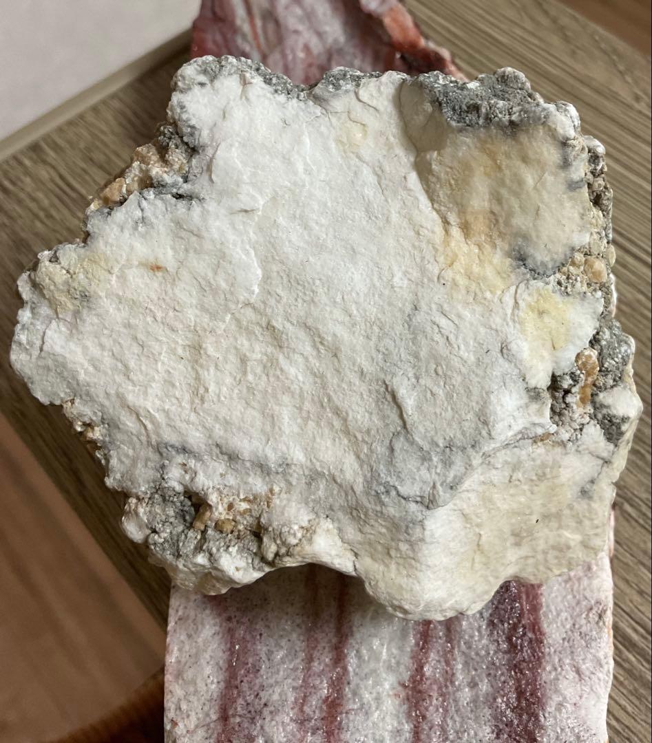 「静寂を宿す ― ナチュラルハウライト原石」