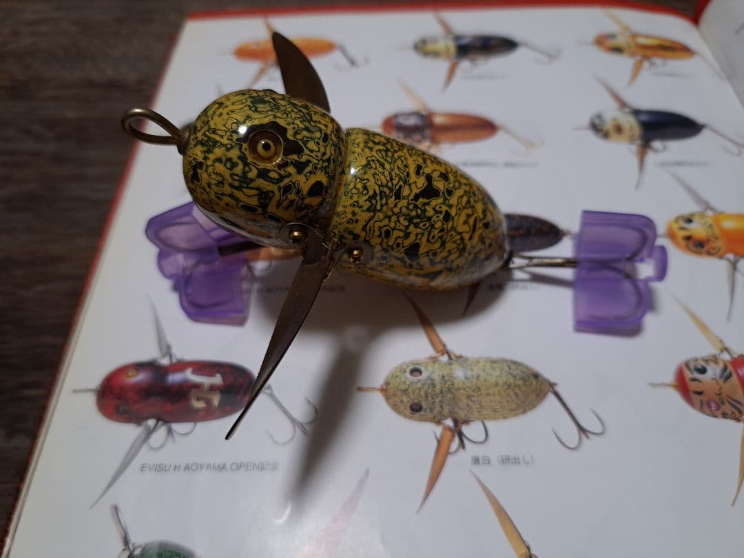 道楽　DOWLUCK　ドウラク　アブラゼミ　唐白　研出し