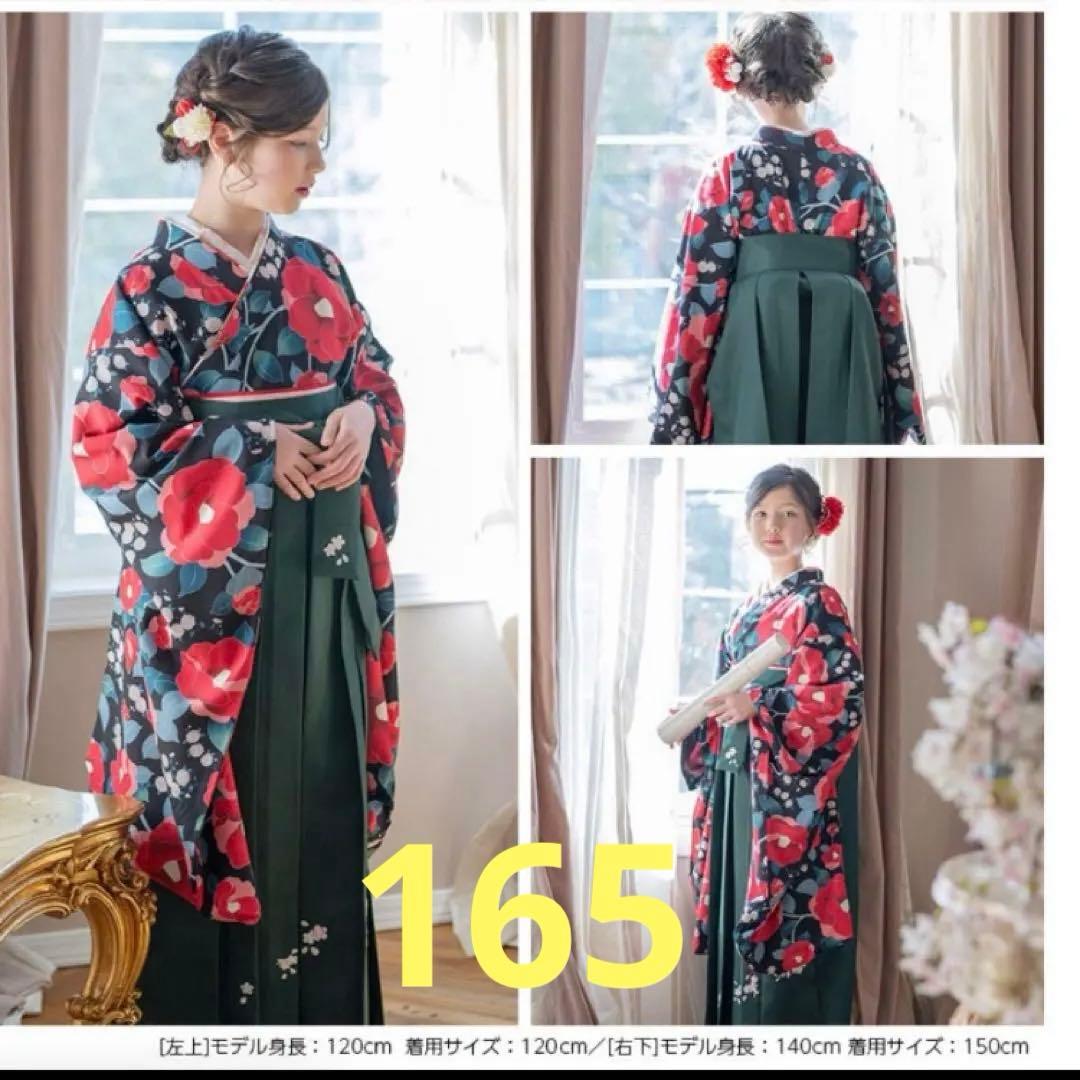 キャサリンコテージ165 卒業式　袴セット　肌襦袢付　卒業式　袴セット165