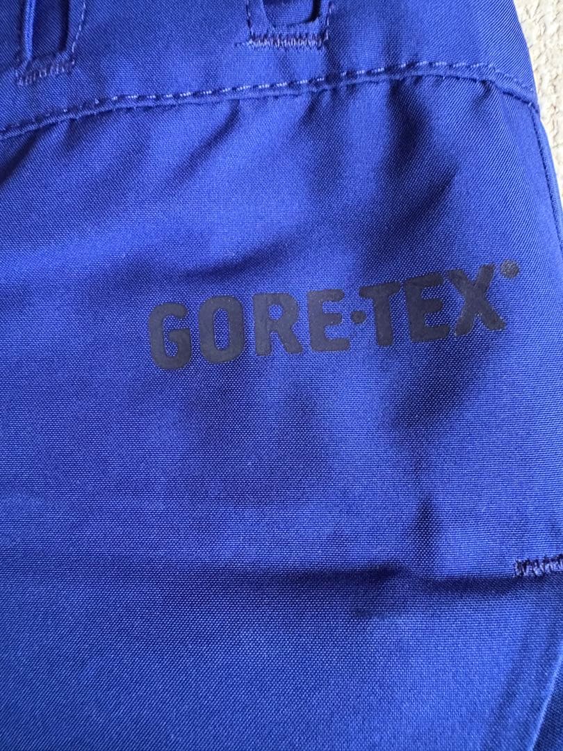 Patagonia パタゴニア パウダーボウルパンツ メンズSサイズ ブルー系