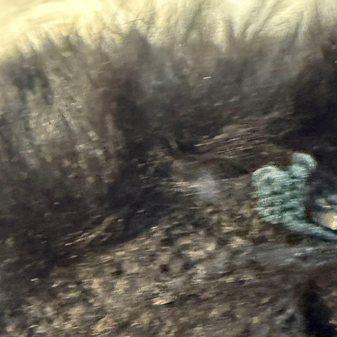 BURBERRY BLACK LABEL厚手ニットファー付 ノバチェック 黒 2