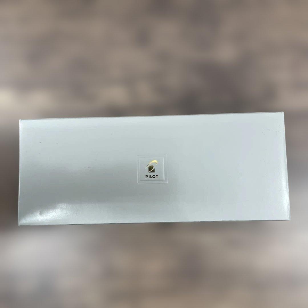 11512 PILOT 万年筆 マンネンヒツ キャップレス FCN1MRBF