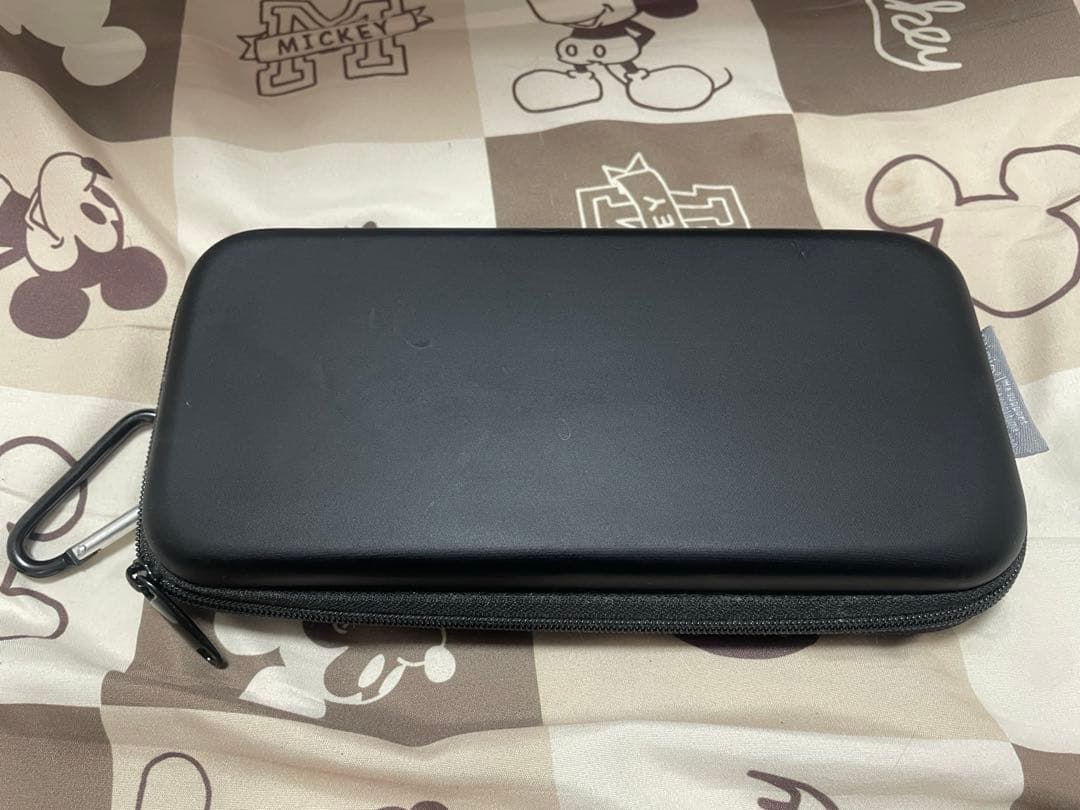 Nintendo Switch Lite ターコイズ 充電器➕ケース付き