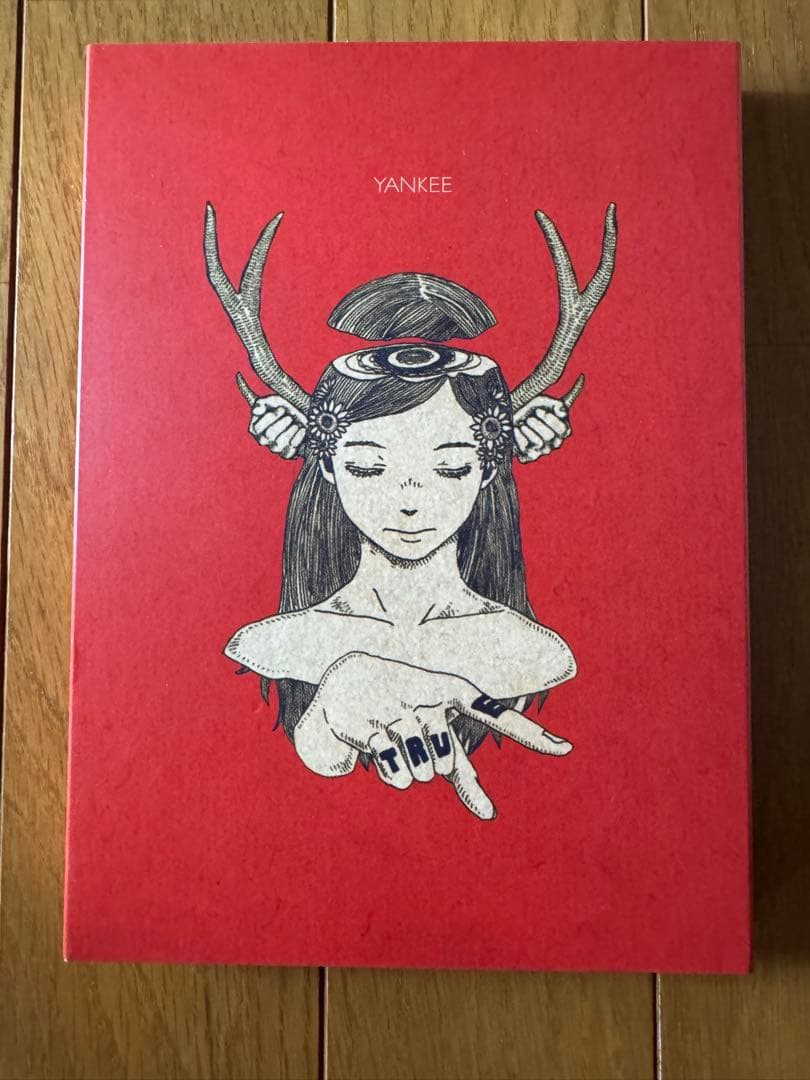 米津玄師 YANKEE 初回限定盤 画集盤