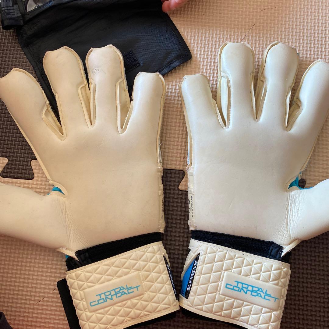 セルスキーパーグローブ