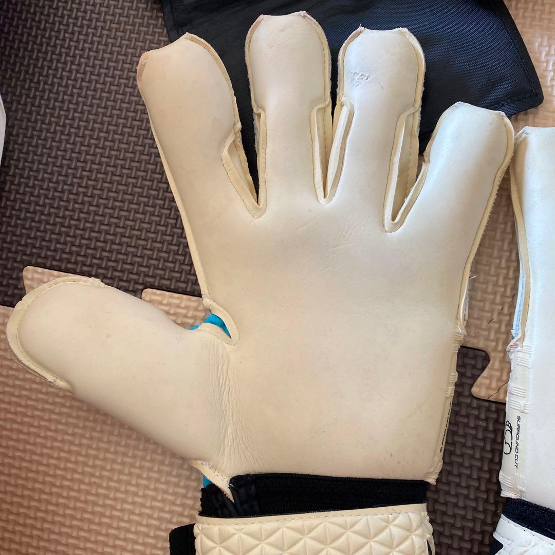 セルスキーパーグローブ