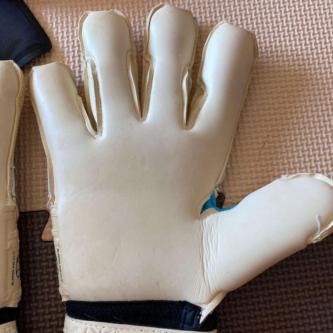 セルスキーパーグローブ