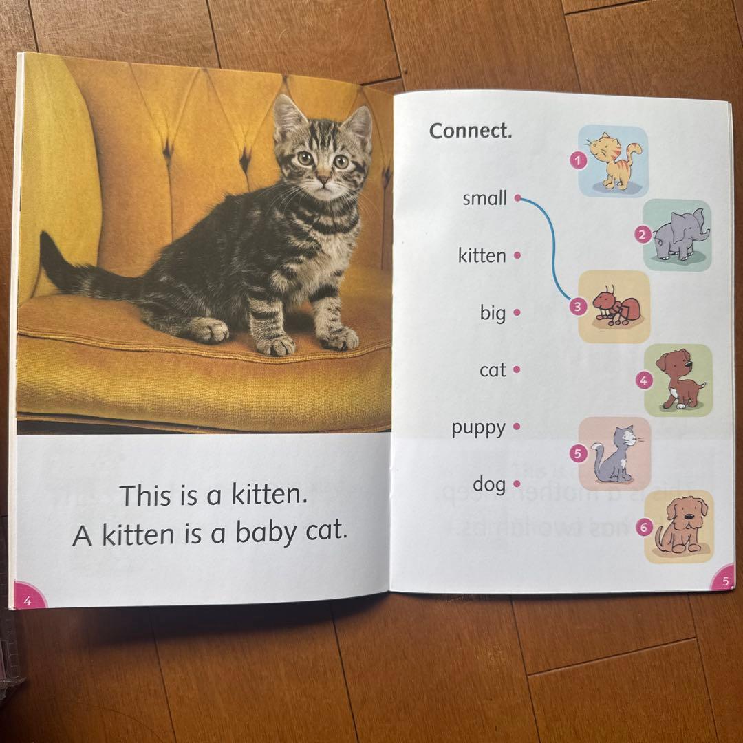 語学・辞書・学習参考書 Dolphin Readers 40 Book Pack