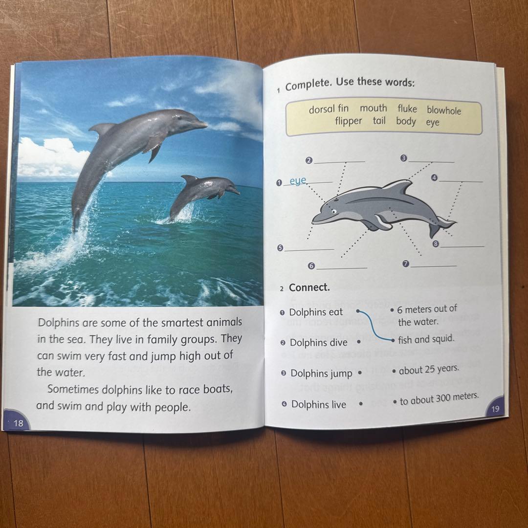 語学・辞書・学習参考書 Dolphin Readers 40 Book Pack