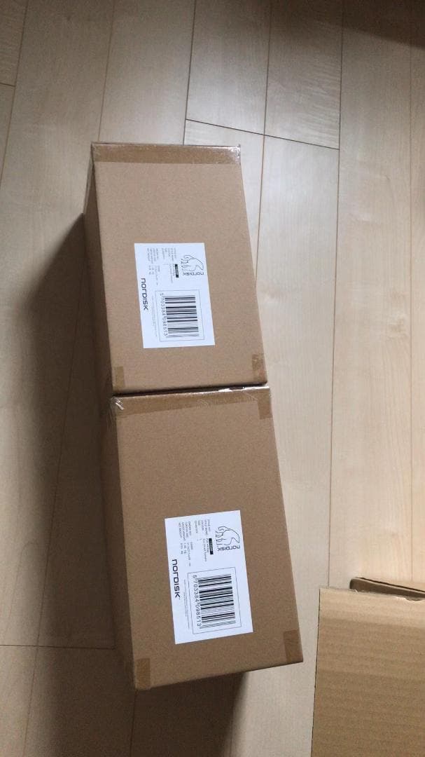 新品未使用 NORDISK ノルディスク Puk +4Egg L 寝袋