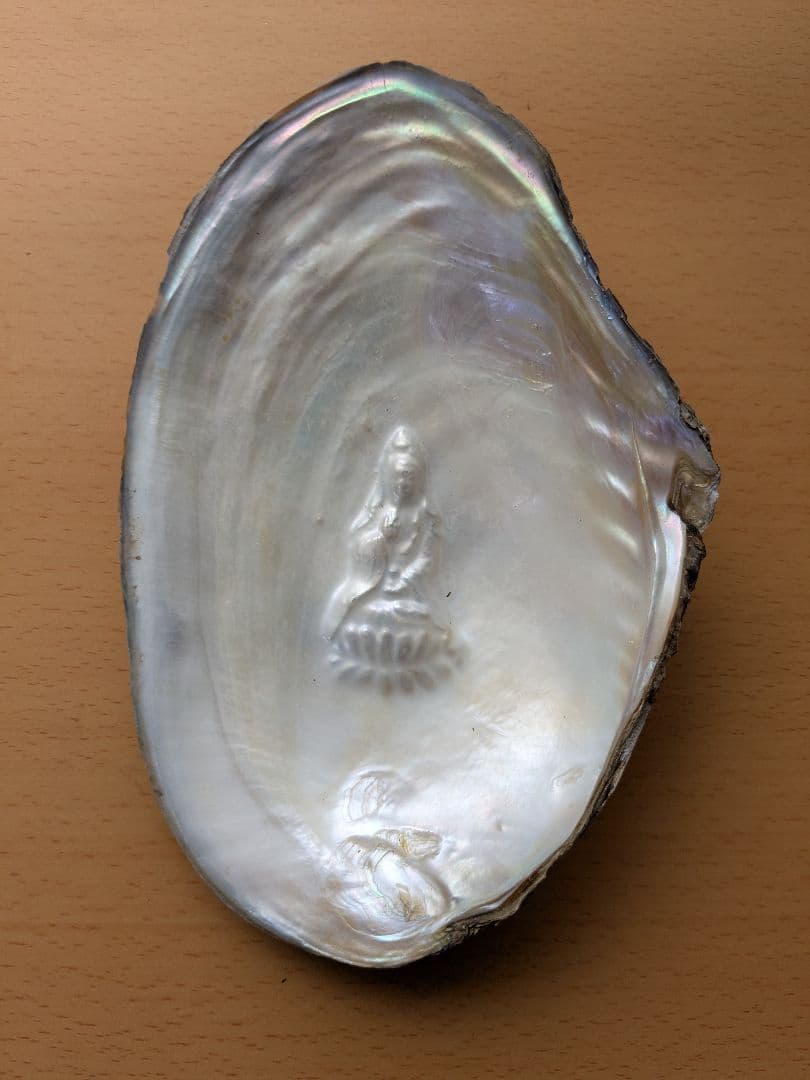 仏像真珠／淡水パール母貝 no.105