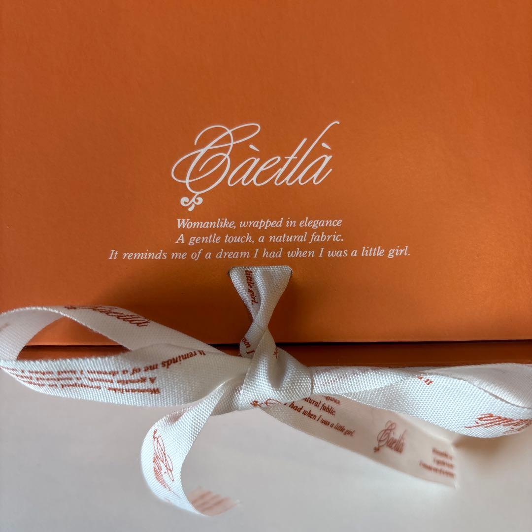 【新品】さえら　ヒスクローネ　ティッシュボックス