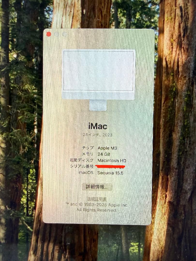iMac M3 24G 2TB シルバー 箱・ キーボード・マウス付き