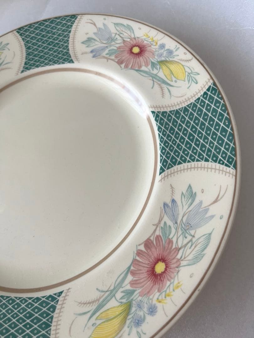 スージークーパー パネルスプレイ　ディナープレート　23cm