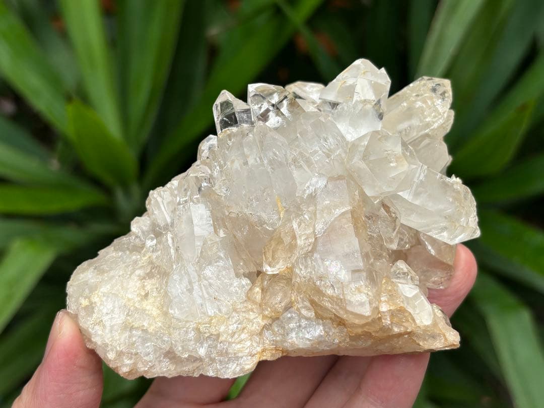 インド　ジャイナラ産水晶クラスター　422g ヒマラヤ水晶 透明度　照り艶