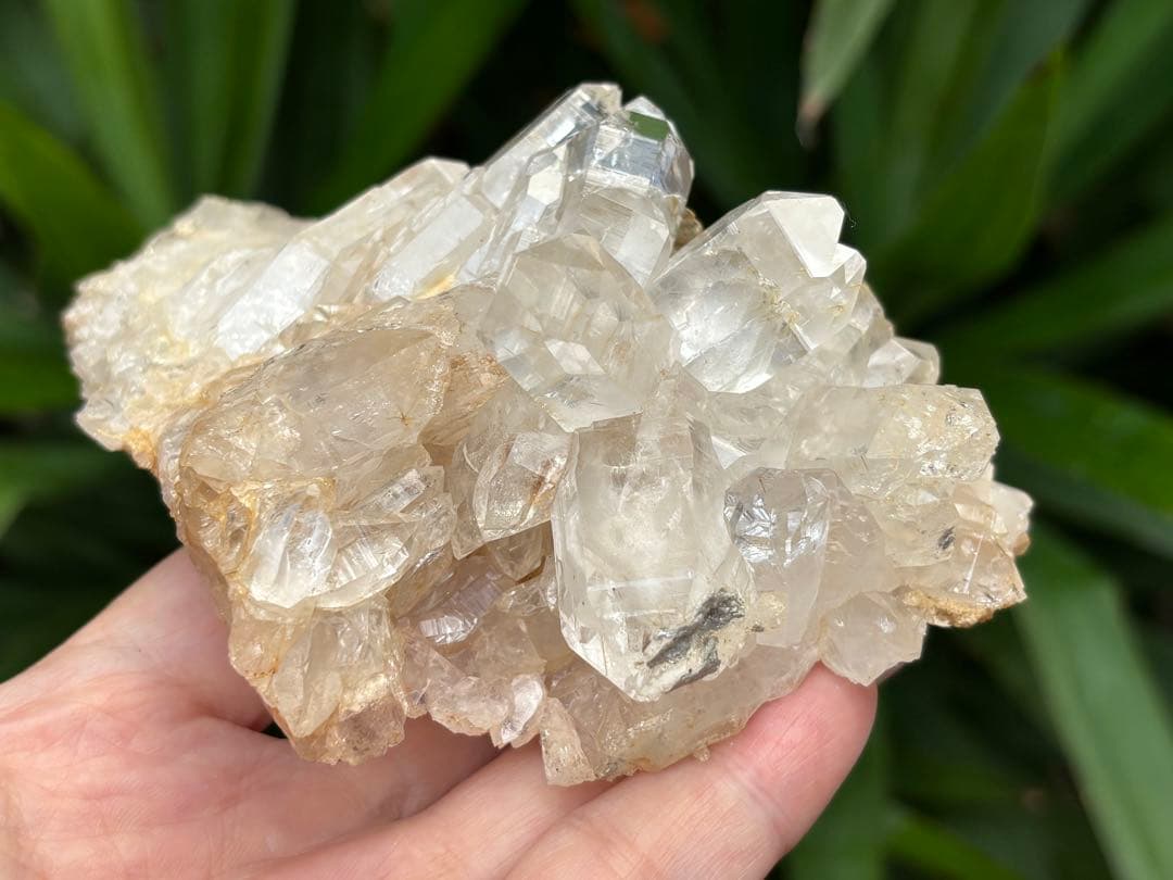 インド　ジャイナラ産水晶クラスター　422g ヒマラヤ水晶 透明度　照り艶