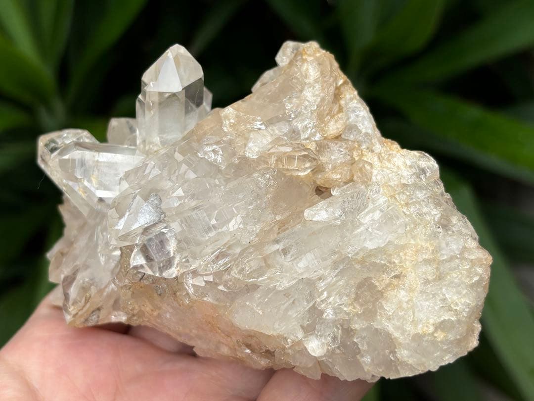 インド　ジャイナラ産水晶クラスター　422g ヒマラヤ水晶 透明度　照り艶