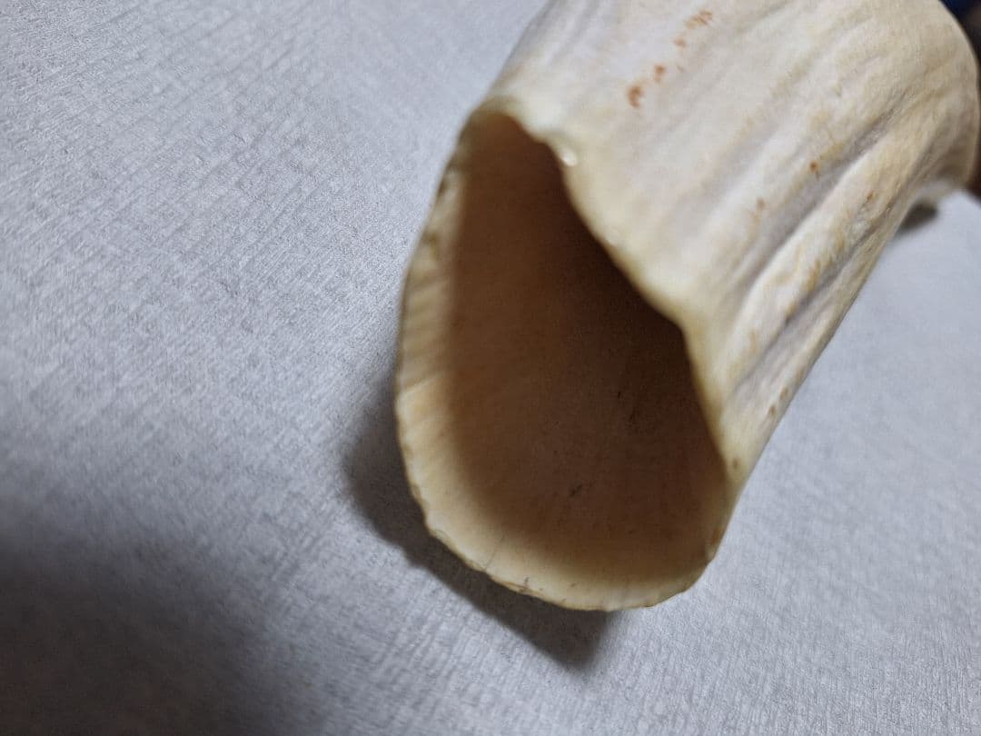 マッコウクジラの歯　393g