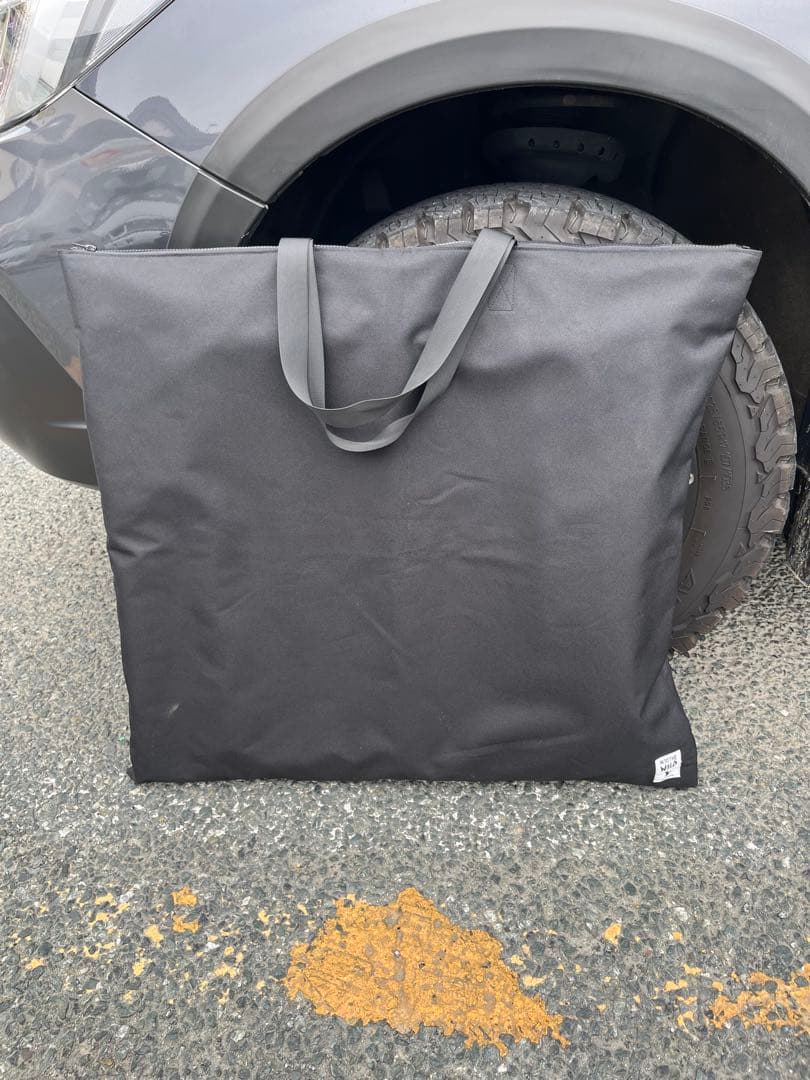 アッソブ　ローバーチェア　専用ピロー、収納カバー付属