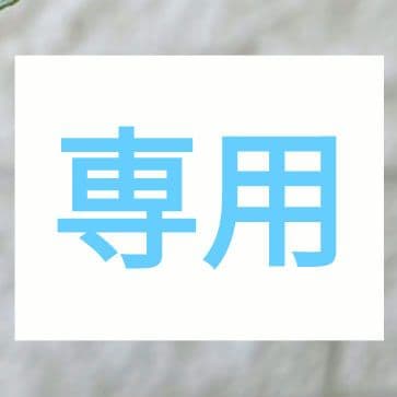クリスマスローズ　彗星　4号　鉢　購入希望　コメントより