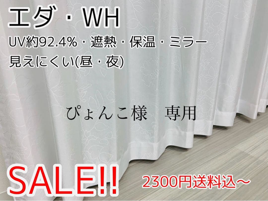 ぴょんこ　レースカーテン　エダ　8枚