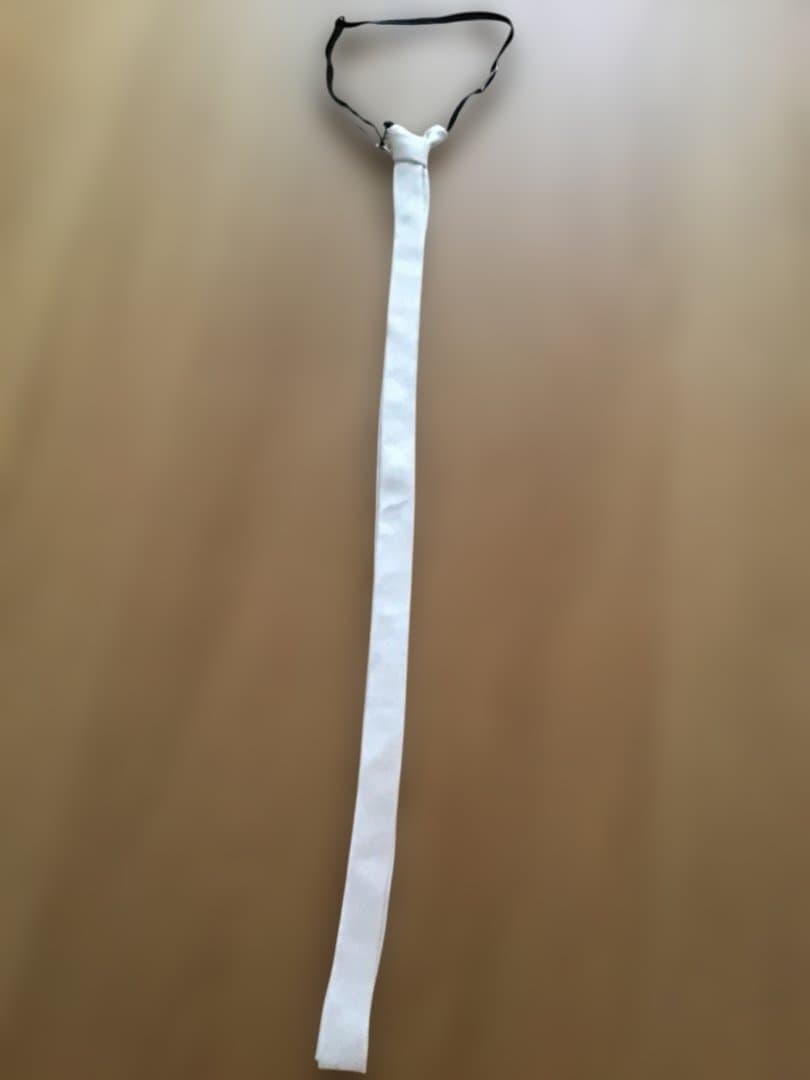 ホワイトシルクネクタイ ディオールオム