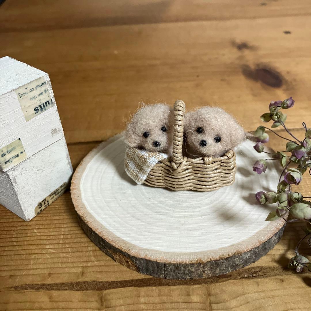 羊毛フェルト　ミニバスケットに入ったトイプードル　見本