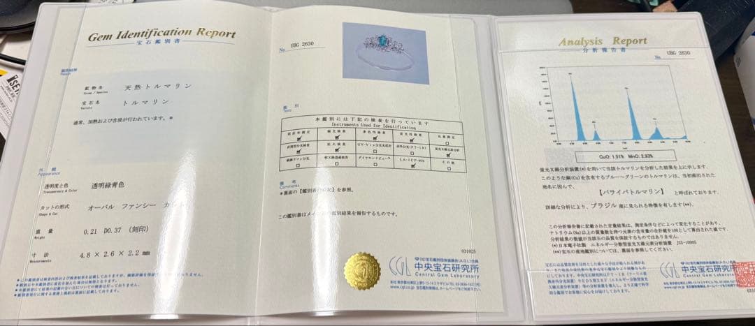 【専用】天然パライバトルマリン0.21ct ダイヤモンド 中宝研 ブラジル産