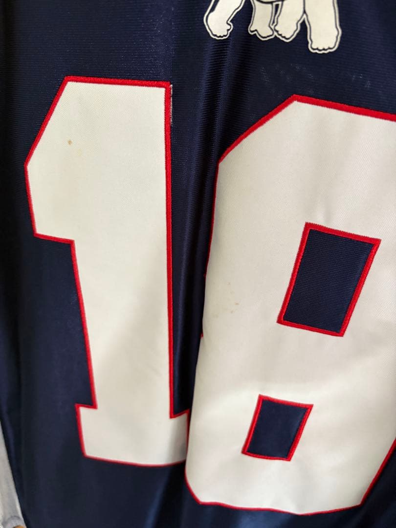 ヌグロホ様　限定