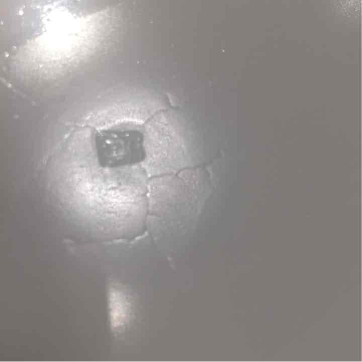 8枚セット ヘーゼルアトラス リプル ディナープレート ピンク