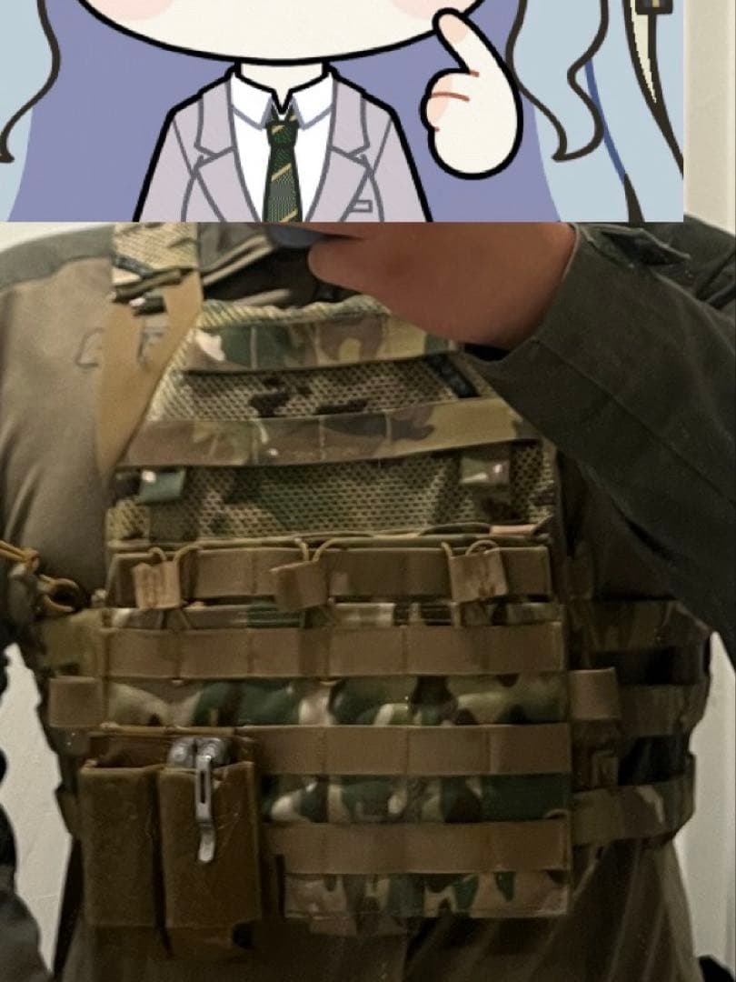 個人装備 crye precision JPC2.0