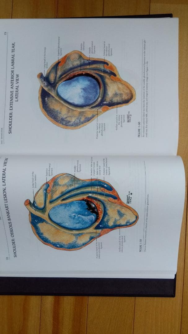 健康・医学 MRI ARTHROSCOPY and SURGICAL ANATOMY