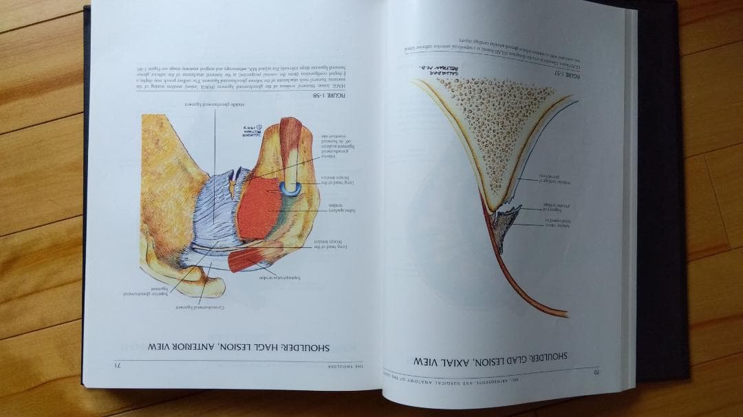 健康・医学 MRI ARTHROSCOPY and SURGICAL ANATOMY