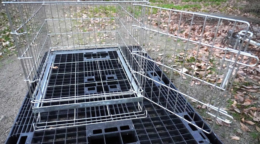 ハチコウ ステンレス折りたたみケージ Mサイズ