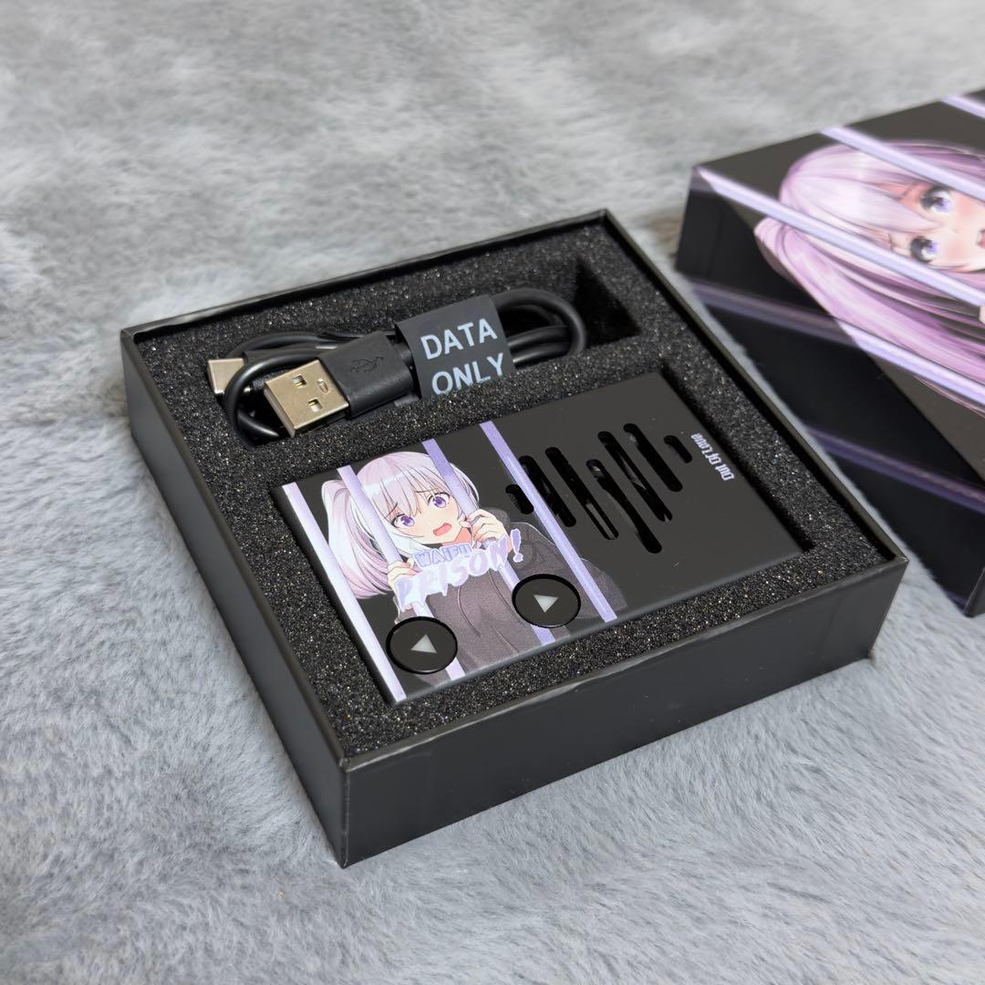 【新品未使用】WAFU PRISON! ワイフ刑務所メロディボックス　正規品