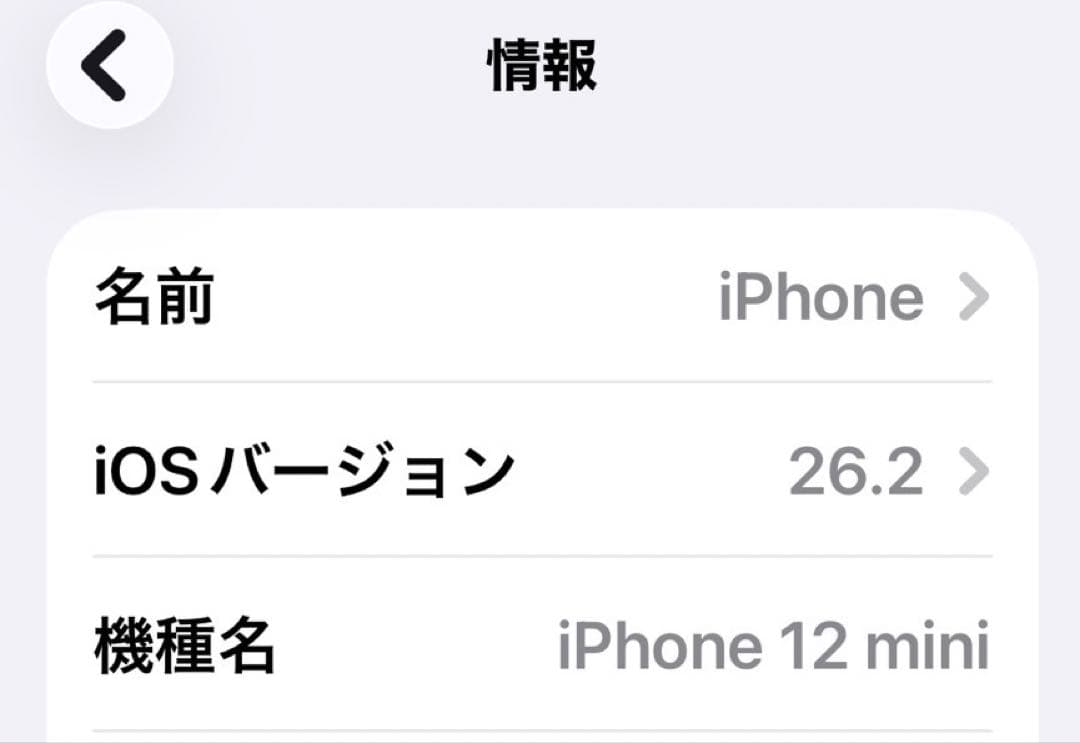スマートフォン本体 iPhone 12mini 256G