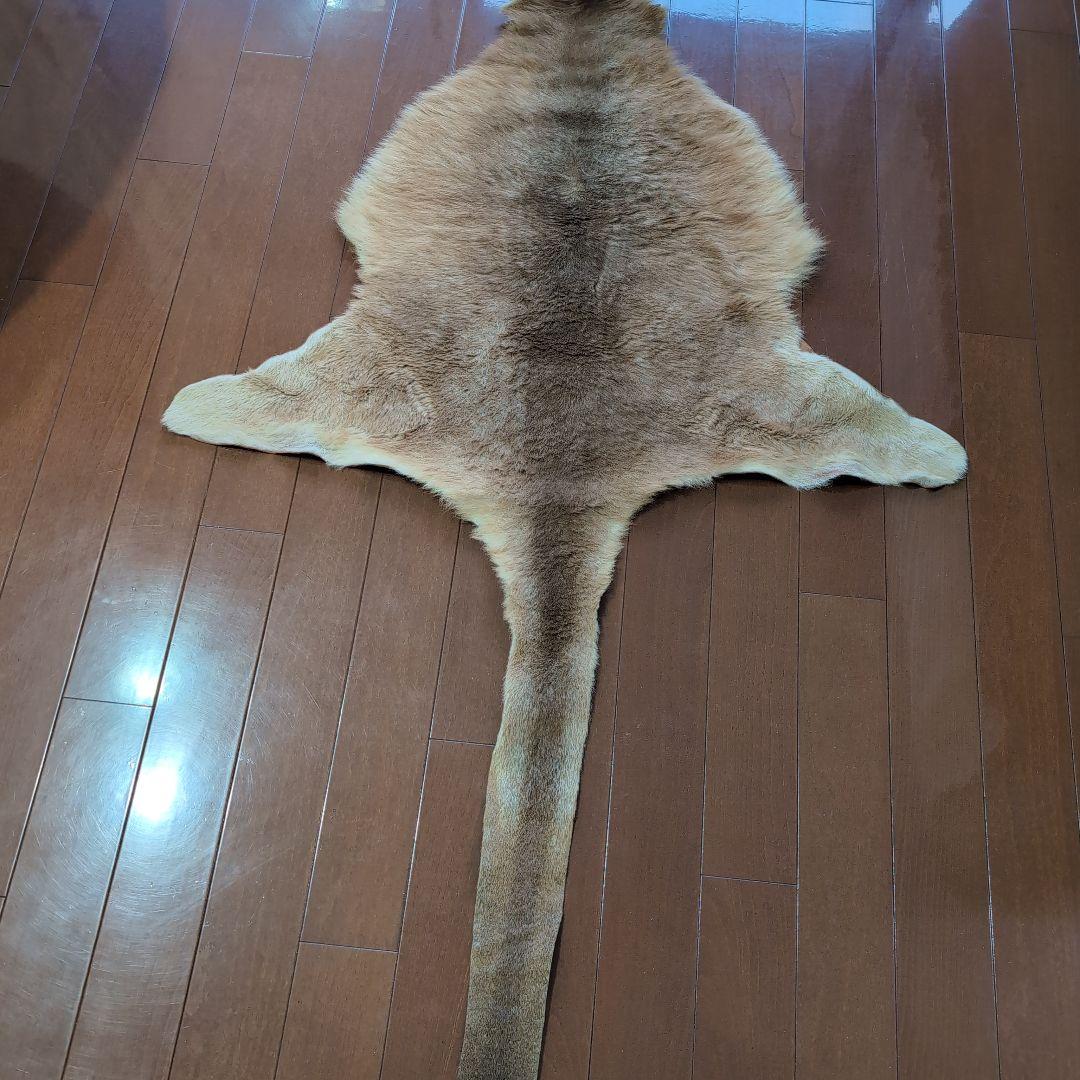 カンガルーの毛皮