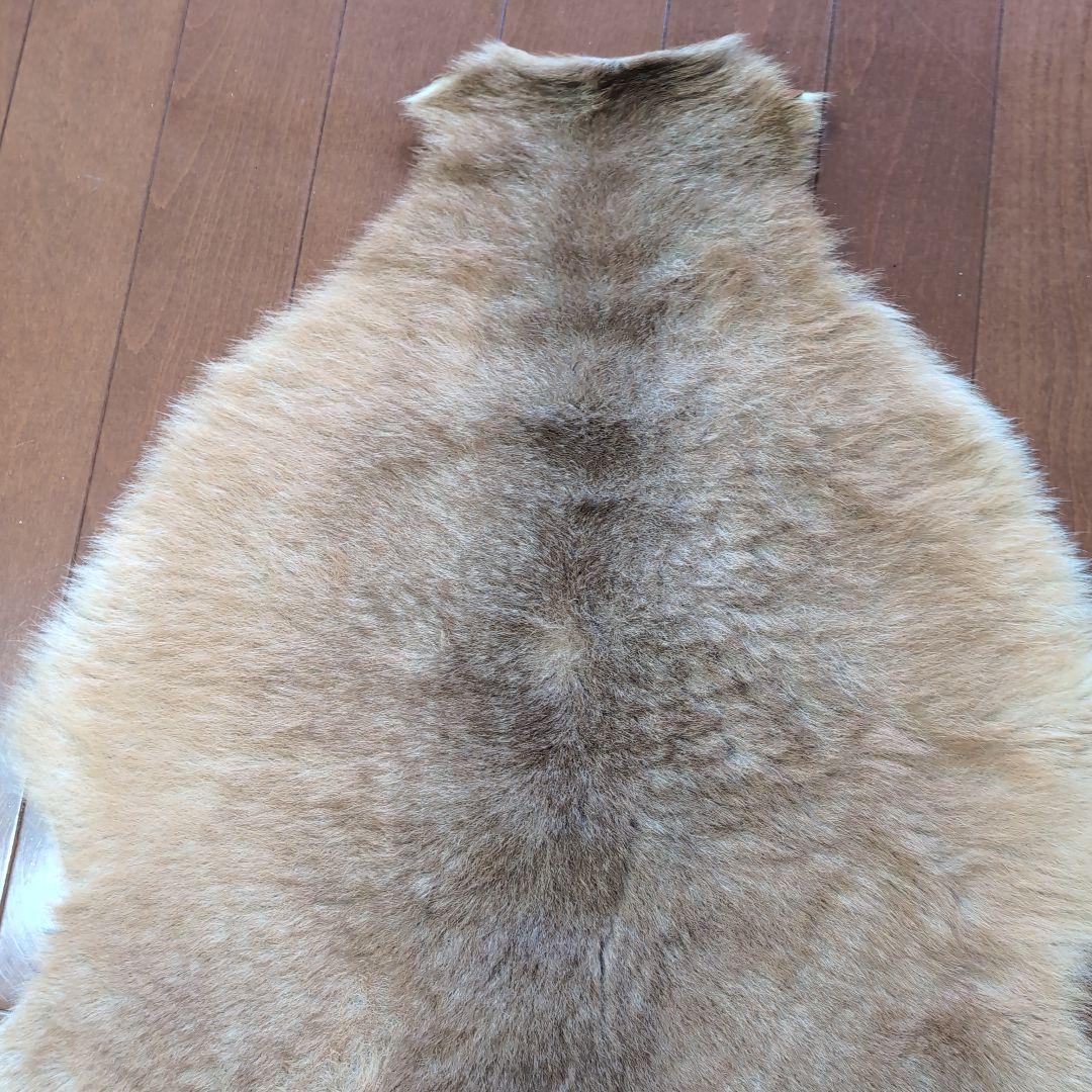 カンガルーの毛皮