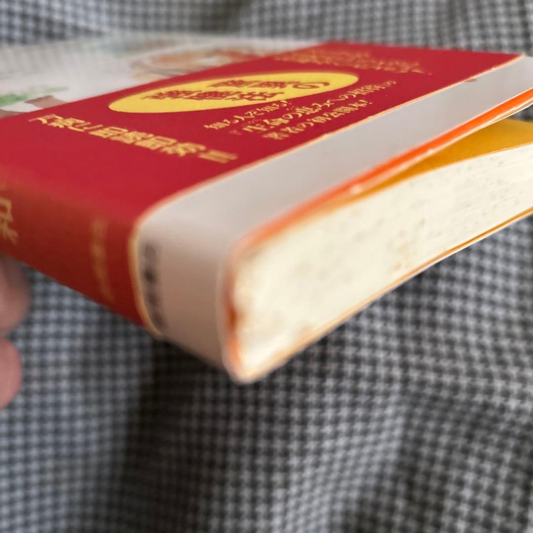 評*。様 元祖 野菜スープ強健法 立石和著