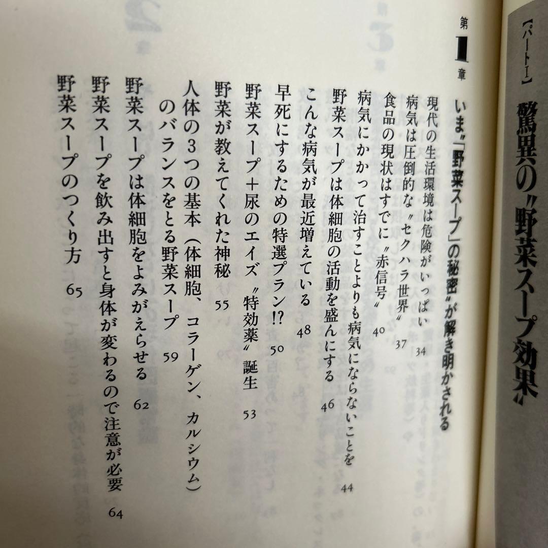評*。様 元祖 野菜スープ強健法 立石和著