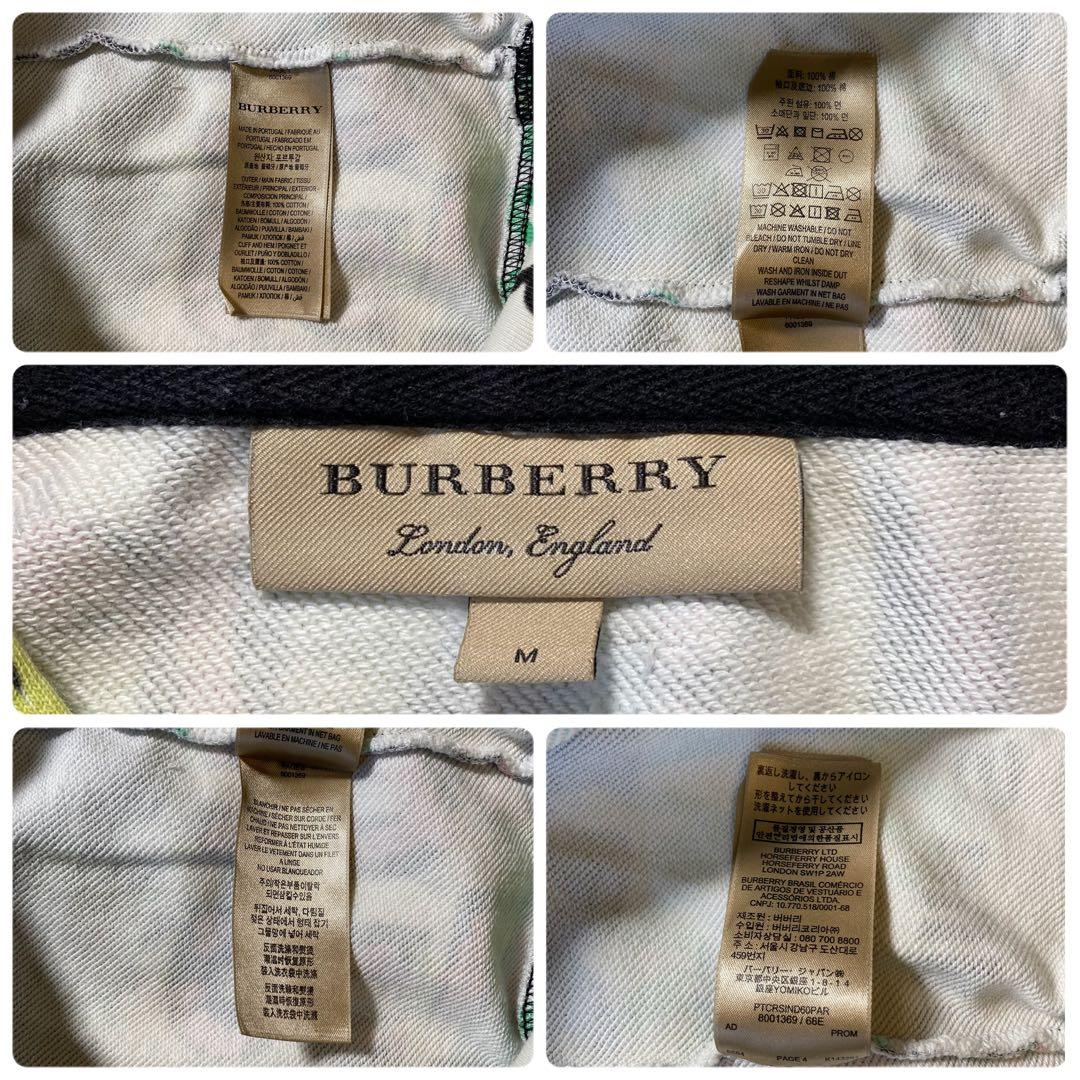 BURBERRY バーバリー グラフィック ロゴ プルオーバー パーカー