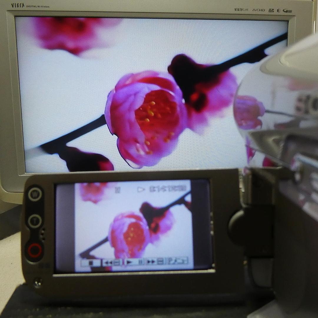 動作品 ソニー DCR-HC90 MiniDVビデオカメラ　DVD化に最適