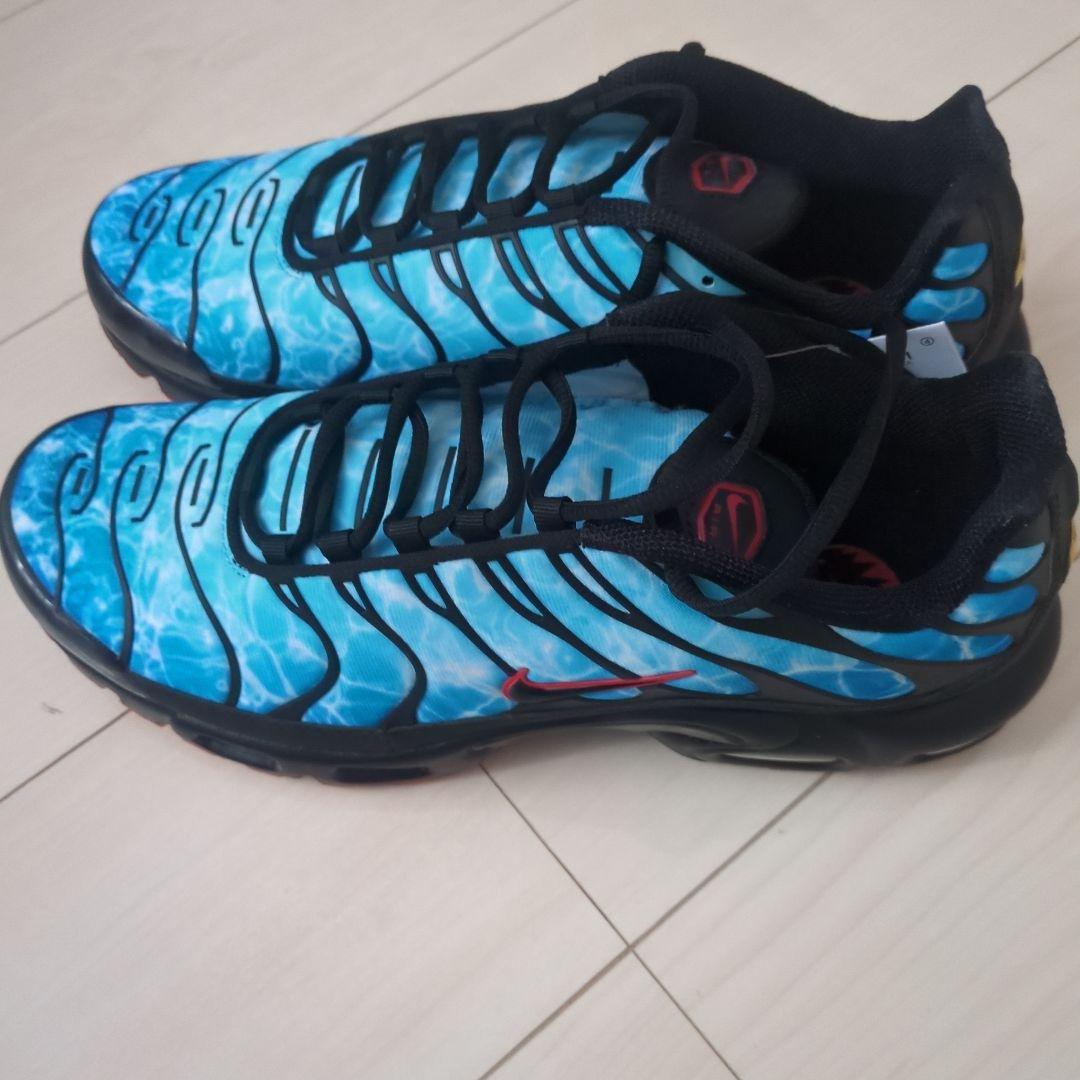 靴 NIKE AIR MAX PLUS 10.5 (US)