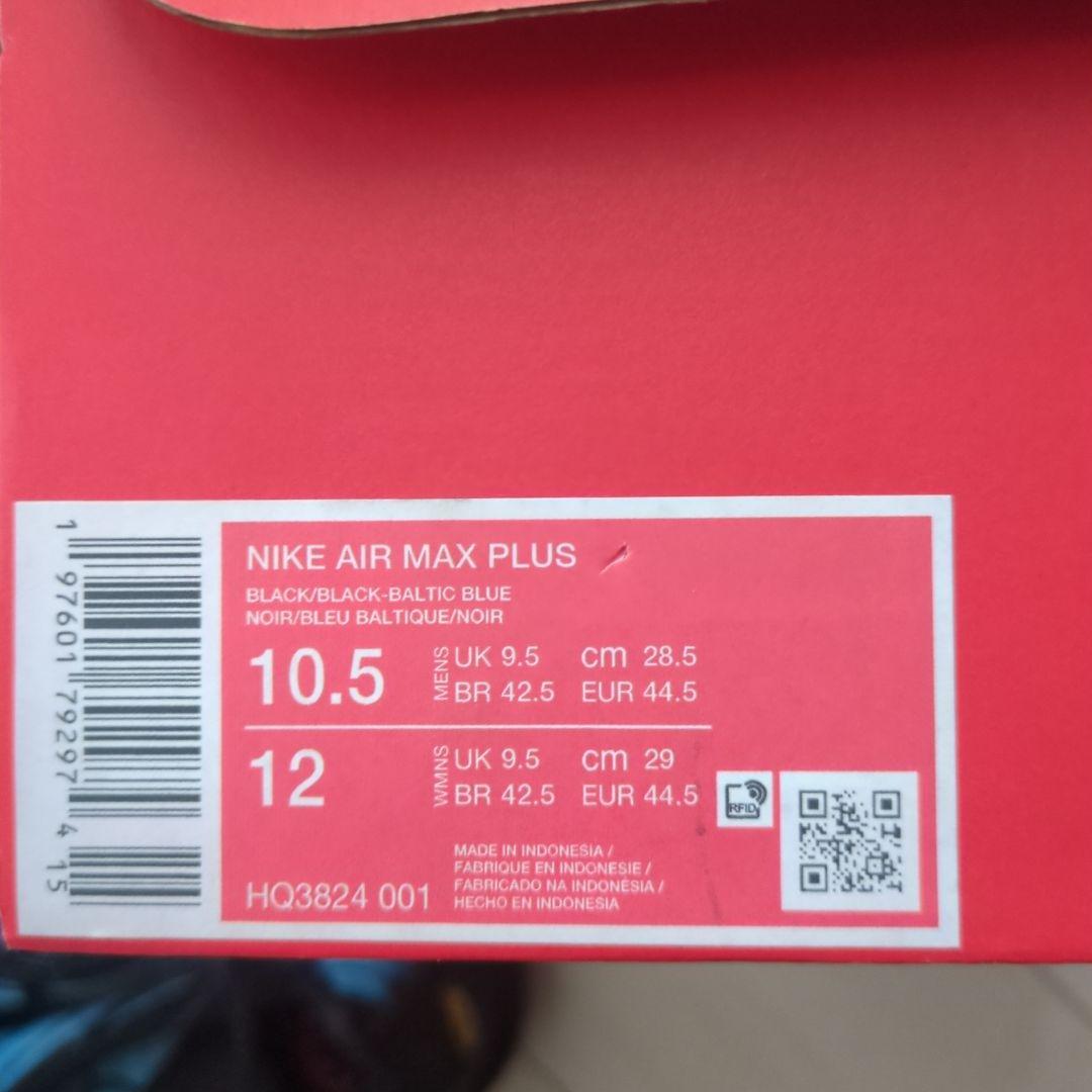 靴 NIKE AIR MAX PLUS 10.5 (US)